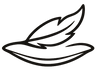Feature icon
